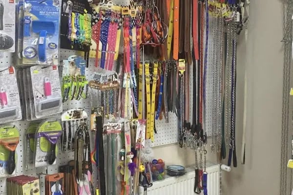 Akın Pet Shop - Resim 5
