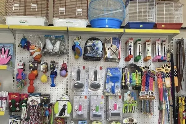 Akın Pet Shop - Resim 6