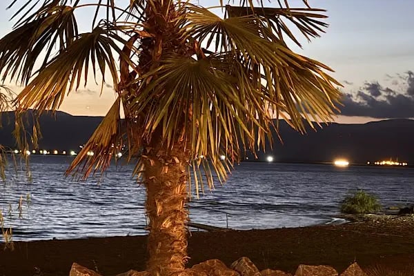 Darka Tatil Köyü Toplu Yapı - Resim 6