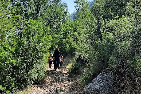 Güllük Dağı Termessos Milli Parkı - Resim 10