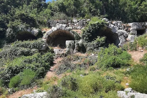 Güllük Dağı Termessos Milli Parkı - Resim 13