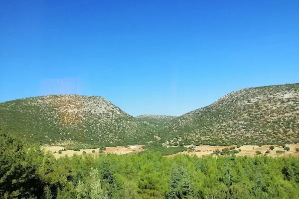 Güllük Dağı Termessos Milli Parkı - Resim 6