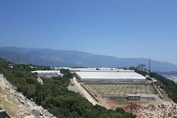 Demre Belediyesi - Resim 8