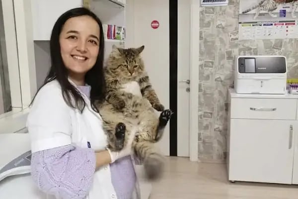 Vetpol Veteriner Kliniği - Resim 14