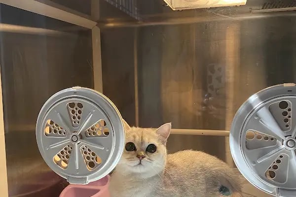 Vetpol Veteriner Kliniği - Resim 13