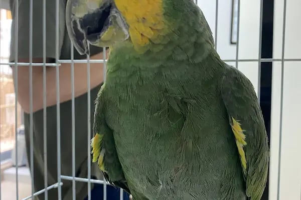 Vetpol Veteriner Kliniği - Resim 19