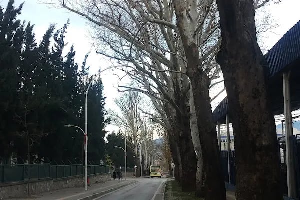 Aroma Bursa Meyve Suları ve Gıda Sanayii A.Ş. - Resim 20