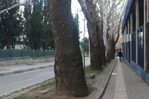 Aroma Bursa Meyve Suları ve Gıda Sanayii A.Ş. - Resim 12