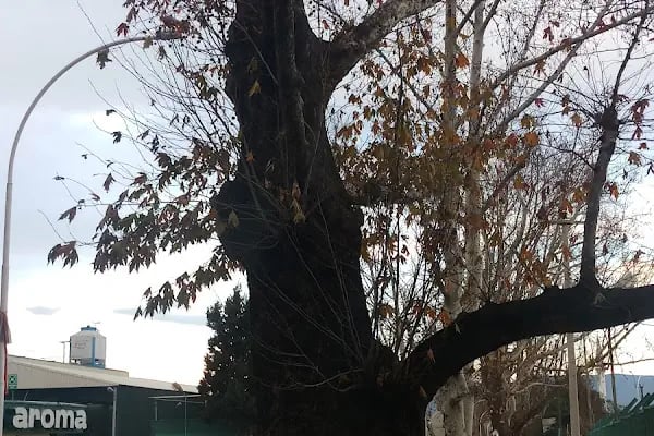 Aroma Bursa Meyve Suları ve Gıda Sanayii A.Ş. - Resim 18