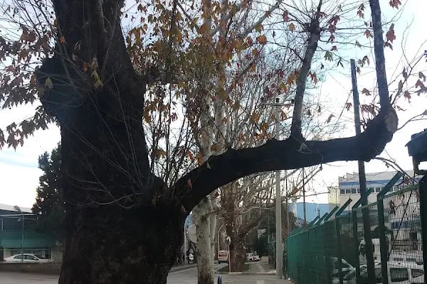 Aroma Bursa Meyve Suları ve Gıda Sanayii A.Ş. - Resim 3