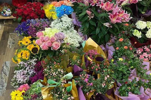 Nizip Lalezar Flower - Resim 17