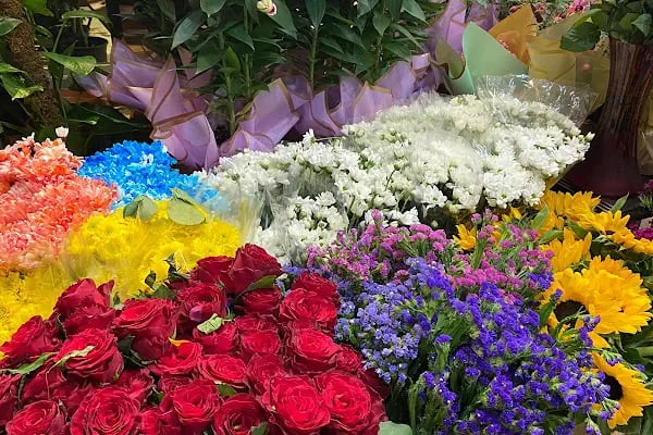 Nizip Lalezar Flower - Resim 11