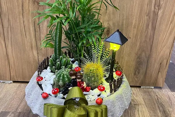 Nizip Lalezar Flower - Resim 16