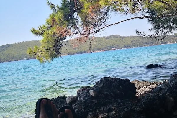 Fullmoon BUNGALOV EVLER ( Akyaka Gökova Akbük Bungalov Otel/Apart Pansiyon Konaklama ) - Resim 5