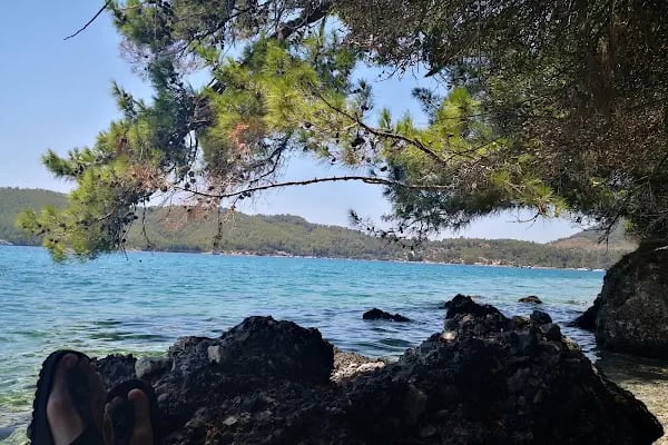 Fullmoon BUNGALOV EVLER ( Akyaka Gökova Akbük Bungalov Otel/Apart Pansiyon Konaklama ) - Resim 15