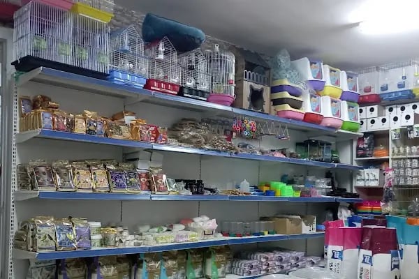 Evcil Dostlar Petshop - Resim 4
