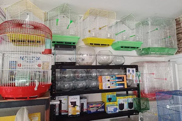 Evcil Dostlar Petshop - Resim 5