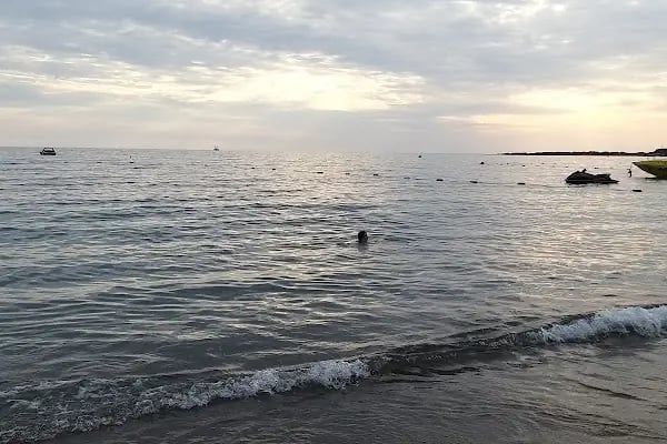 Lilyum Hotel & Spa - Resim 9