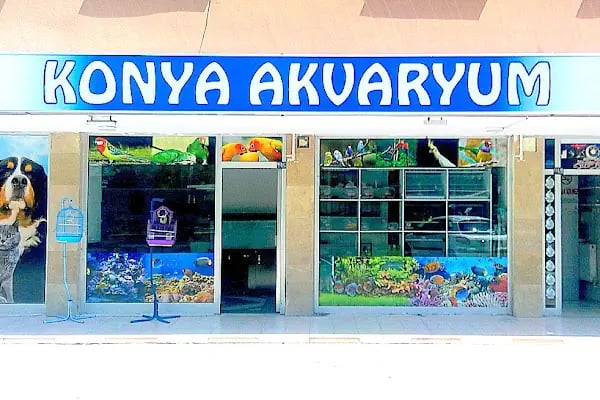 KONYA AKVARYUM - Resim 2