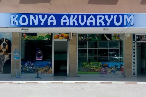 KONYA AKVARYUM - Resim 4