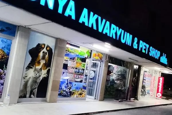 KONYA AKVARYUM - Resim 3