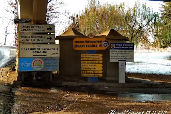 Ankara Üniversitesi Ziraat Fakültesi Tarla Bitkileri Bölümü - Resim 9