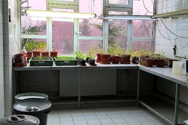 Ankara Üniversitesi Ziraat Fakültesi Tarla Bitkileri Bölümü - Resim 8