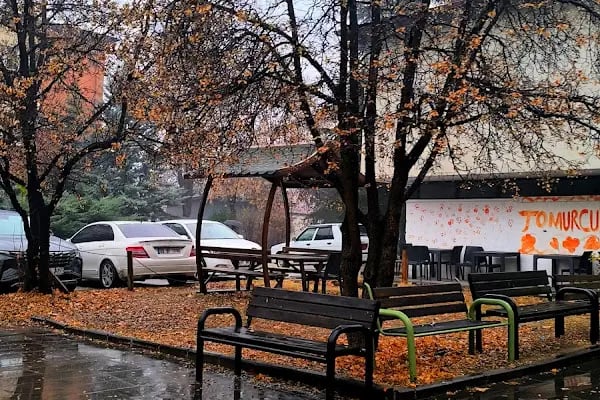 Ankara Üniversitesi Ziraat Fakültesi Tarla Bitkileri Bölümü - Resim 5
