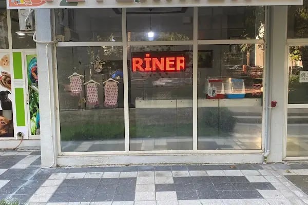 KİMERA VETERİNER EGZOTİK HAYVAN VETERİNERİ İZMİR - Resim 18
