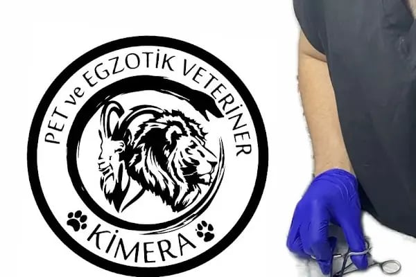 KİMERA VETERİNER EGZOTİK HAYVAN VETERİNERİ İZMİR - Resim 5