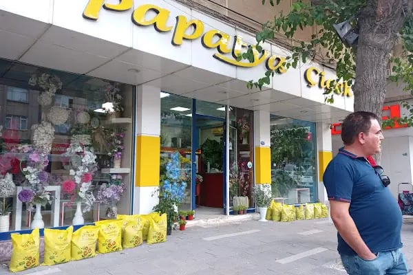 PAPATYA ÇİÇEK - Resim 13