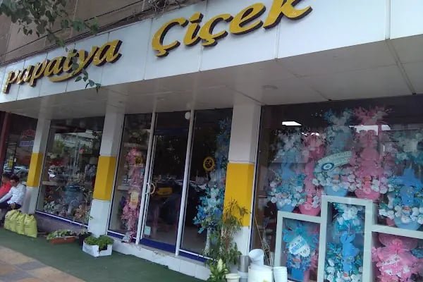 PAPATYA ÇİÇEK - Resim 2