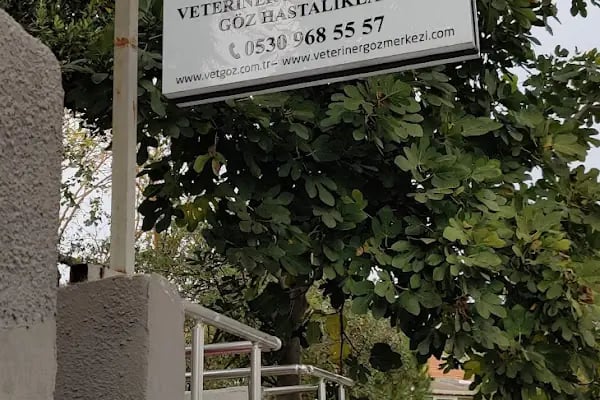 VETERİNER GÖZ POLİKLİNİĞİ - Resim 17