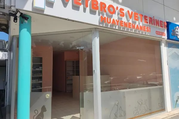 GARFİELD VETERİNER MUAYENEHANESİ - Resim 6