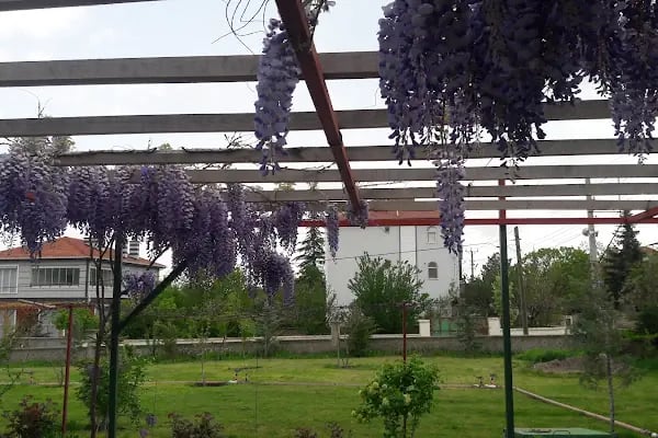 Mimar Kardeşler Etli Pide Fırını - Resim 2