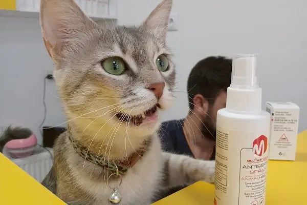Pet Veteriner Kliniği 2- Pet Anka - Resim 7
