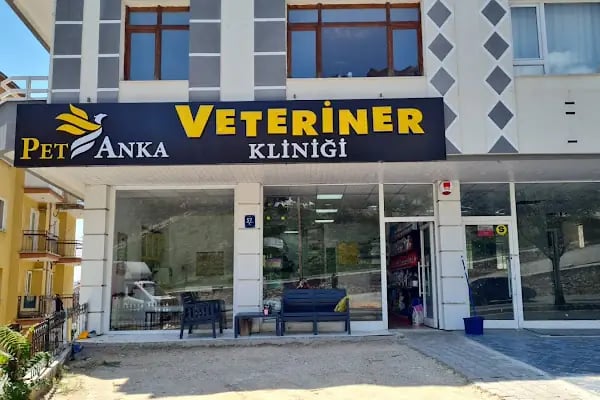 Pet Veteriner Kliniği 2- Pet Anka - Resim 17