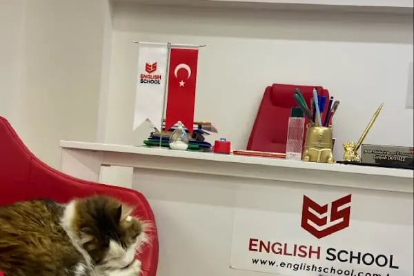 English School Avcılar - Resim 12