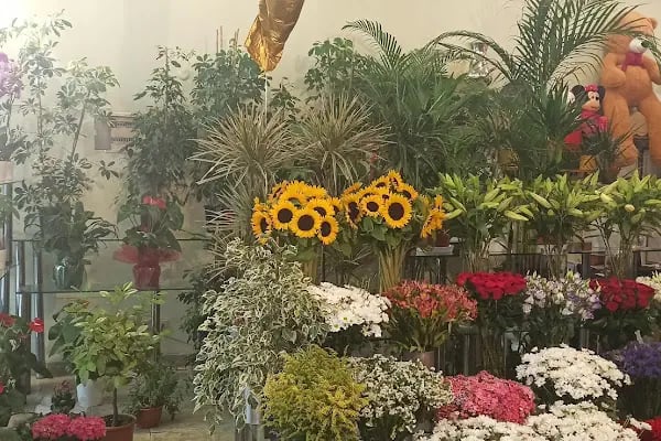 Ataşehir Çiçekçilik - Resim 4