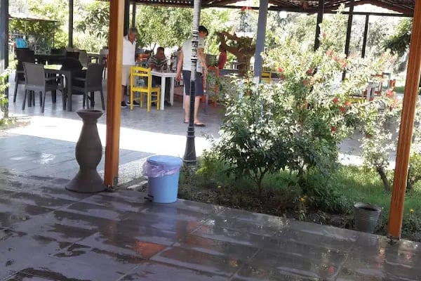 KARADENUZ FİRTUNASI - Resim 4