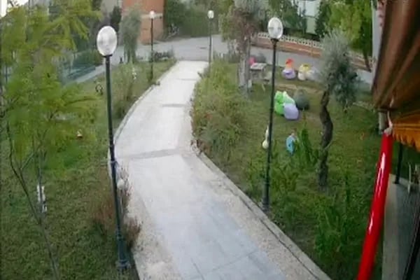 KARADENUZ FİRTUNASI - Resim 10