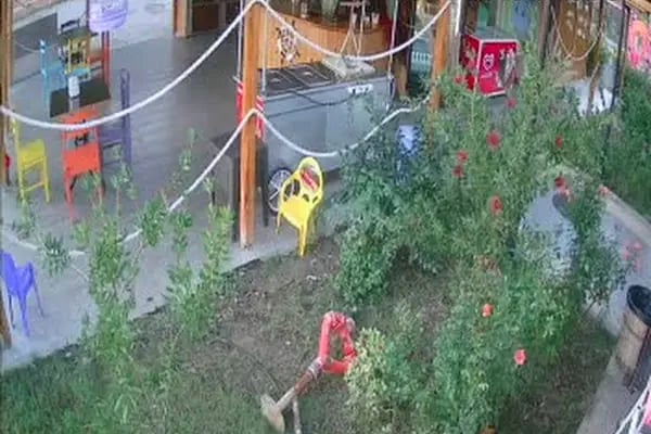 KARADENUZ FİRTUNASI - Resim 5