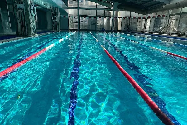 Yeditepe Sports Yüzme Akademi - Resim 3