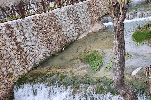 Karaisalı Karapınar Park Büfe - Resim 15