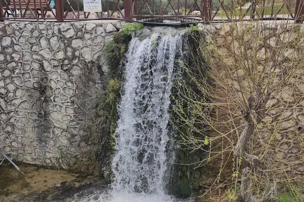 Karaisalı Karapınar Park Büfe - Resim 12