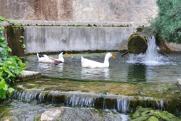 Karaisalı Karapınar Park Büfe - Resim 13