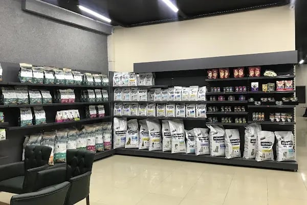 Keçiören Tepebaşı Veteriner Kliniği - Resim 2