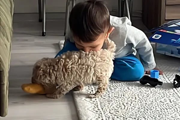 Keçiören Tepebaşı Veteriner Kliniği - Resim 15