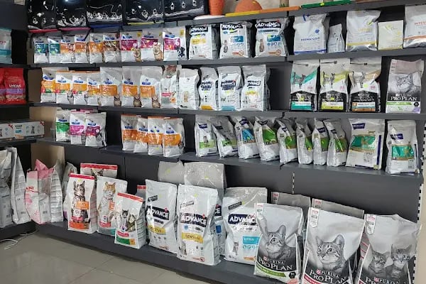 Keçiören Tepebaşı Veteriner Kliniği - Resim 19