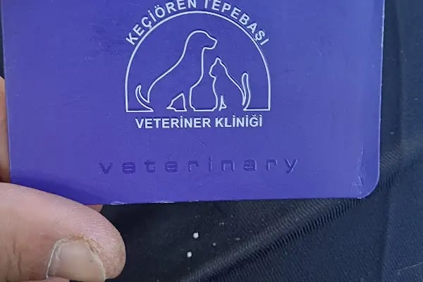Keçiören Tepebaşı Veteriner Kliniği - Resim 16